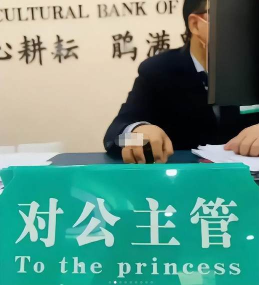 princess什么意思中文翻译