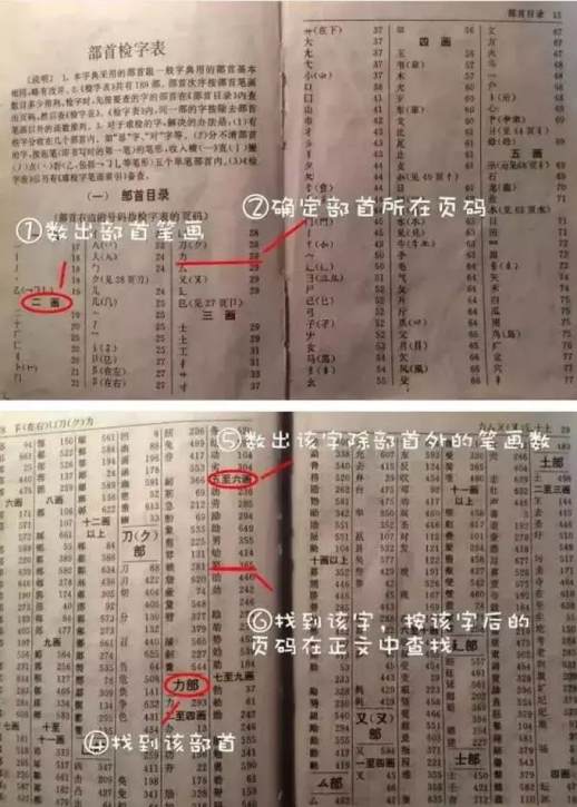 民字的部首是什么