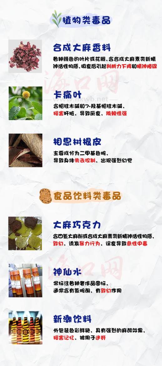 椰子不能和什么一起煮