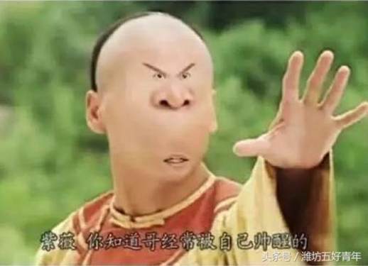 si开头的成语