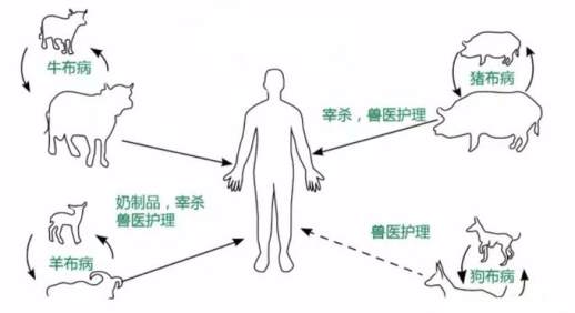 吃马肉的好处和坏处