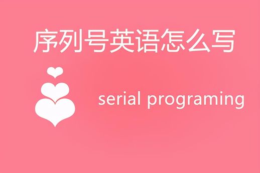 serial no是出厂编号吗(设备出厂编号在哪里看)