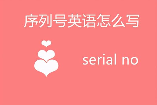 serial no是出厂编号吗(设备出厂编号在哪里看)