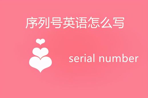 serial no是出厂编号吗(设备出厂编号在哪里看)