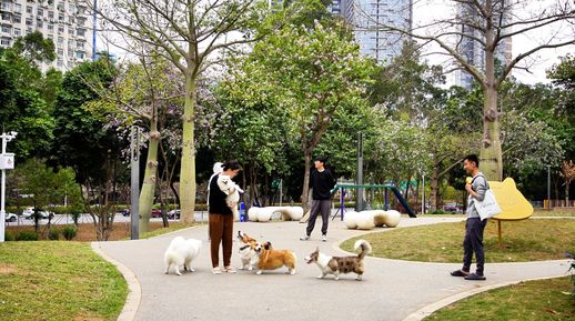 市民与宠物互动