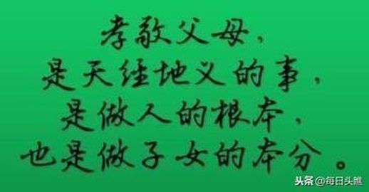 人应该怎么活着 人应该怎么活着议论文