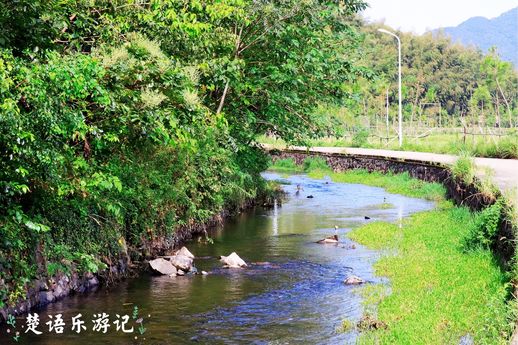 宁波九龙湖 宁波九龙湖开元度假村酒店电话