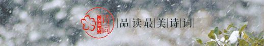 关于下雪的诗 关于下雪的诗句优美句子