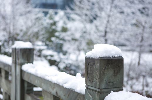 关于下雪的诗 关于下雪的诗句优美句子