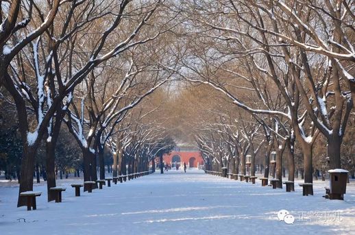 天坛公园景点介绍 北京天坛公园景点图片