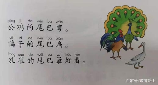 尾巴怎么读 尾巴是读yiba还是weiba