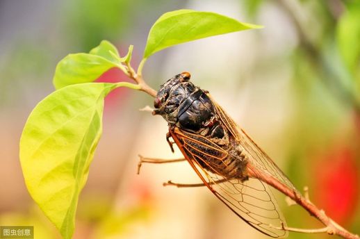 写秋声的诗句 写秋思的诗句