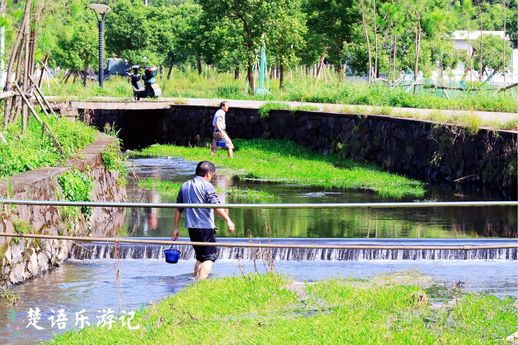 宁波九龙湖 宁波九龙湖开元度假村酒店电话